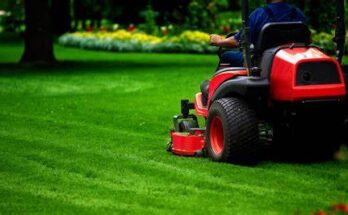 Best Tools and Equipment for Lawn Care
