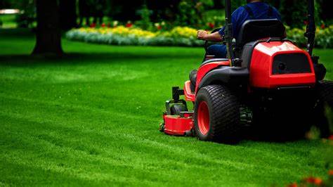 Best Tools and Equipment for Lawn Care